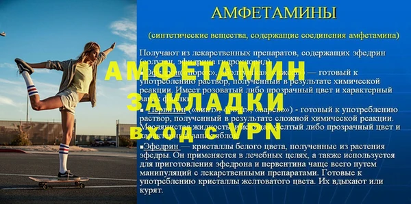 мет Алексин