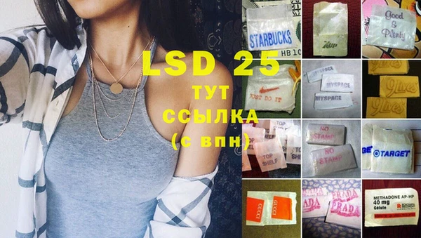 крисы Алзамай