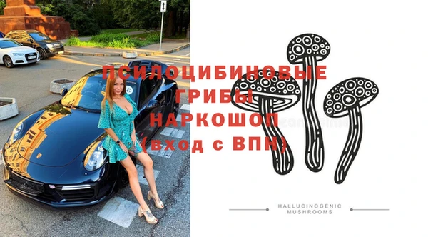 крисы Алзамай