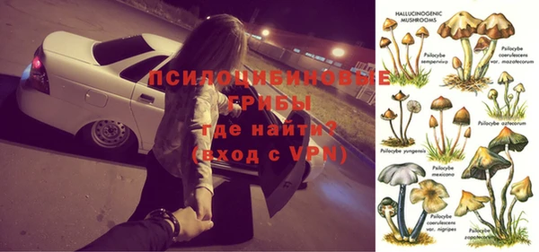 крисы Алзамай
