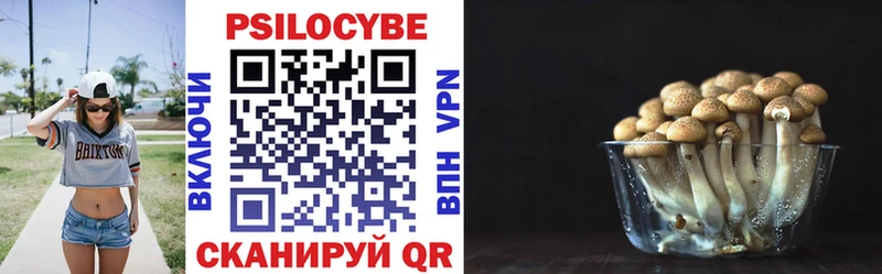 где найти наркотики  Дрезна  Псилоцибиновые грибы прущие грибы 