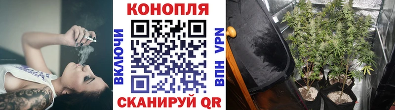 кракен вход  Дрезна  Конопля White Widow 