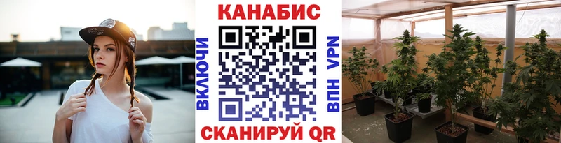 Шишки марихуана сатива Дрезна